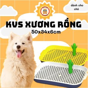 Khay vệ sinh xương rồng dành cho chó - T3 PETS SHOP
