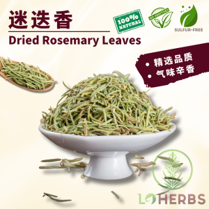 Loherbs 迷迭香 Dried Rosemary Leaves/ Rosemary Kering/ Daun Rosemari/ Rosemary Tea/ Teh Rosemari