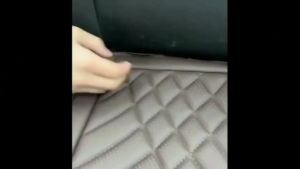 24Pcs/Set Car Seat Cover Hooks High Quality Plum Plate Metal Hook Secure Hold Car Seat Cover Fastener Clip Kit 汽车坐垫插扣