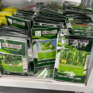 Hạt Giống Bầu Sao F1 FUTURE 202 Gói 100 Hạt – Trái Đẹp Cây Khỏe Sai Trái Năng Suất Cao