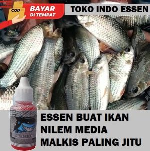 ESSEN NILEM MEDIA MALKIS