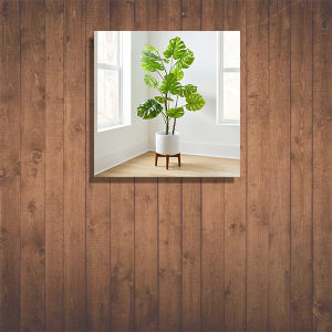 ( isi 1pcs) Hiasan Dinding Monstera 20x20cm - Hiasan Kamar - Hiasan Ruang Tamu