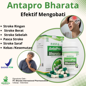 Antapro Bharata Obat Stroke Herbal Ampuh Original - Obat Stroke Berat & Ringan - Obat Kolesterol