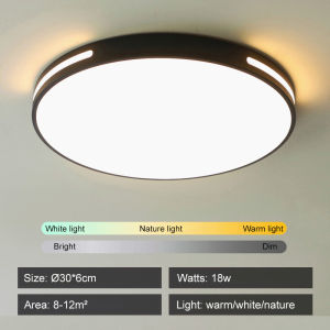 LED Ceiling light High-brightness living room ceiling light White light/warm light/warm white light lampu siling light