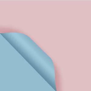 กระดาษห่อดอกไม้ (20แผ่น/แพ็ค) สีพิ้นทูโทน กันน้ำ ขนาด56x54cm กระดาษห่อช่อดอกไม้ กระดาษก่อของขวัญ สไตล์โมเดิล สไตลล์ญี่ปุ่น มีหลายสีให้เลือก