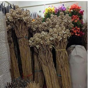 HEMAT ONGKIR BELI 5 Dekorasi Stik Bola Akar Wangi 1 Ikat isi 8 Batang