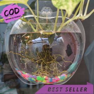 Hiasan Dinding Apple Aquarium Tembok Gantung Transparan Acrylic Diameter Besar 20cm