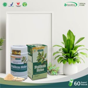Kapsul Patikan Kebo Obat Batuk Berdahak Bronkitis Radang Tenggorokan