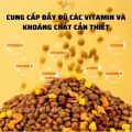 Hạt Cho Mèo DONGPET Topping 5 Loại Thịt Đông Khô Cao Cấp Túi 2,5kg - Hạt Dong Pet Thịt Sấy Khô. 
