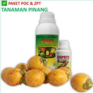 Pupuk pohon Pinang Berbuah Lebat | paket poc zpt untuk buah pinang agar cepat berbuah lebat