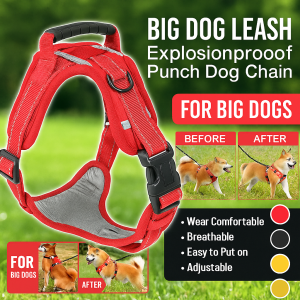 Explosionproof Dog Leash and Strap for Big Dogs