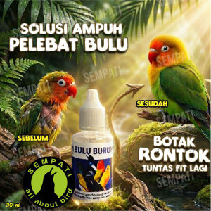 SEMPATI Obat Penumbuh Bulu Burung Sempati Mengatasi Bulu Rontok Patah Sulit Tumbuh Mempercepat Mabung Untuk Murai Kacer Lovebird Anis Cucak Pleci Dll OBNUMBUH