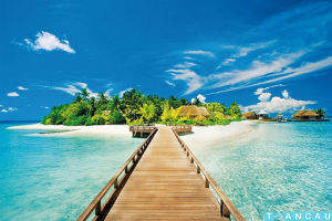 [HCM-ĐẶC SẢN PHÚ QUỐC] Nước mắm Phú Quốc chính hiệu Hớn Hưng-Nước mắm cốt nhĩ cá cơm 40 độ đạm  (1 chai 200ml)