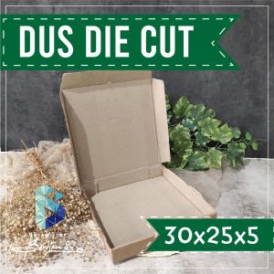 Kardus Die Cut 30x25x5 isi 10 - Kardus Kue Roti Makanan Pizza Hampers Box PIZZA Delicious MUrah