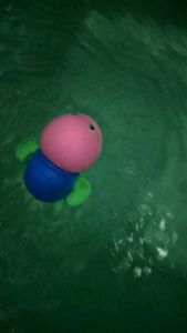 kura kura mandi berenang ada pink biru toska orange aman tanpa listrik