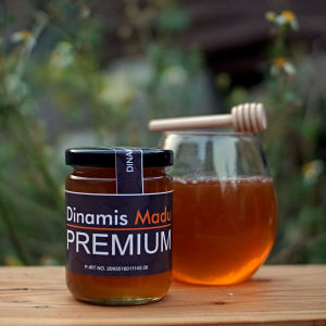 Dinamis madu Premium ( Madu hutan liar )