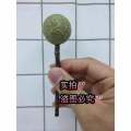 Catnip Matata Polygonum Lollipop 猫薄荷木天蓼棒棒糖. 