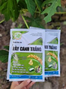 [VTNN TIEN KHOA] Trừ RẦY CÁNH TRẮNG trên lúa rầy phấn trắng bọ nhảy rầy xanh rầy bông xoài gói 100gram