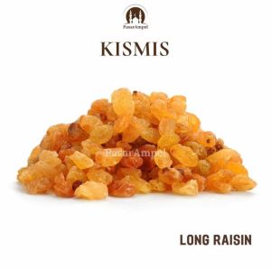 Kismis Manis Golden Raisin 250gr Simin Arab Anggur Kering Tanpa Biji Oleh oleh Haji Umroh