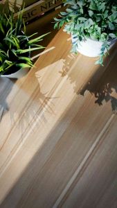 As-Syamail Al-Muhammadiyah: Edisi Kemas Kini (Hard Cover)