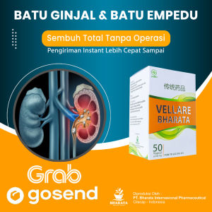 Vellare Bharata - Obat Batu Empedu Batu Ginjal - Obat Kencing Batu Urine Paling Ampuh 100% Asli