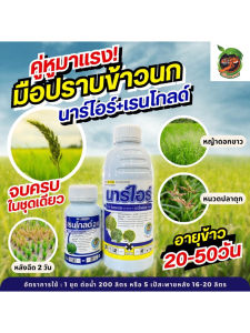 ชุดคู่ปราบหญ้า! เรนโกล์ด+นาร์ไอร์ ปราบหญ้าข้าวนก หญ้าดื้อยา หญ้าดอกขาว กก หนวดปลาดุก