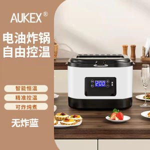 Deep Fryer Electric Electric Pot Deep Fryer Electric Fryer Large Capacity Fried Special Frying Pan