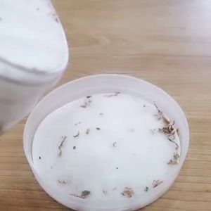 Hot Selling Beauty Sugar Exfoliate Whitening Suppliers of Organic Bath Salt Body Scrub FREE SHIPPING