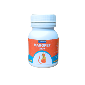MAGGPET - VITAMIN KUCING GEMUK BULU KUCING MENAMBAH NAFSU MAKAN KUCING BULU LEBAT MENGKILAT MAGPROFEED MEOMAG PETGLOW MAGGPRO CLEVER SOLUTION GOLDEN PAW ROYAL CATS