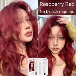 【 Ship SG 】 2025 FDA Plant Hair Dye 2 * 100ml 【 Free Gift 】: Hair dye tools hair dye hair dye products shampoo