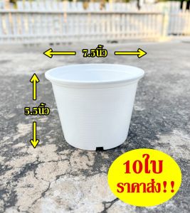 กระถางพลาสติก8นิ้ว สีขาว เนื้อหนา ราคาส่ง10ใบ