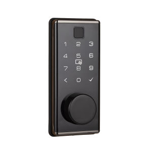 RAYKUBE F20 Automatic deadbolt fingerprint door lock smart electronic code lock security for Home/Homestay/Apartment
