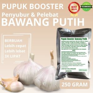 Pupuk Booster Bawang Putih / Obat Booster Bawang Putih / Pupuk Booster Bawang Putih