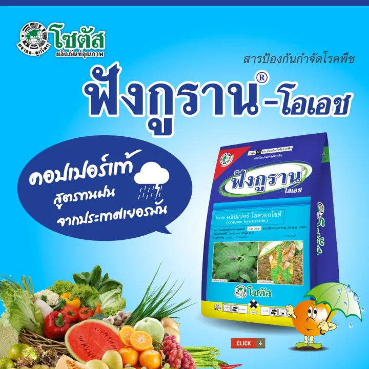 ฟังกูราน คอปเปอร์ ไฮดรอกไซด์ 100g สำหรับโรคแคงเกอร์