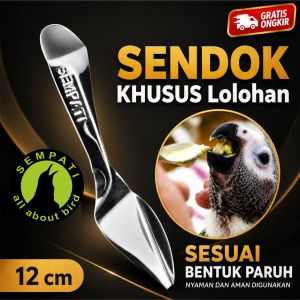 SEMPATI Sendok Lolohan Piyik Anak Bayi Burung Stainless 12cm Sendok Loloh Alat Suap Bubur Feeding Spoon Untuk Anakan Burung Lovebird Parkit Paruh Bengkok Kenari Murai Kacer Hamster Sugar Glider Kucing
