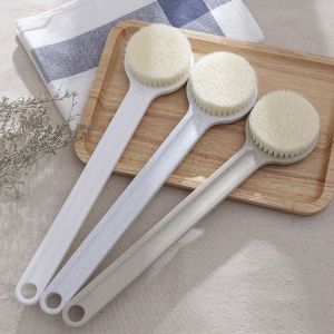 CÂY CHÀ LƯNG CỌ CHÀ LƯNG MUJI NHẬT BẢN