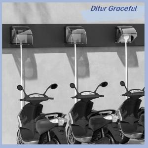 Ditur 86 Type Outdoor Socket Protective Cover Bathroom Electric Plug Waterproof Cover Power Outlet Rainproof Box Electrical Supplies