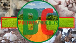 ESSENTIAL VET NOR~FLOX~ACIN HY~DROCHLORIDE{ANTIBACTERIAL/ANTI-INFECTIVE} 20%