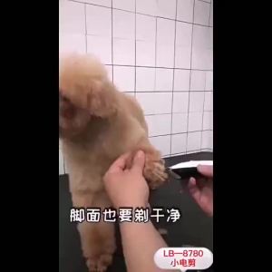 AU YingshenElectric Hair Clippers LB8780 Dog grooming clippers suitable for Teddy and Panda breeds for trimming and cutting fur