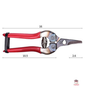 กรรไกรตัดกิ่ง ARS กรรไกรปากแหลม อุปกรณ์ในสวน เครื่องมือทำสวน