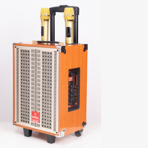 Bộ Loa kéo karaoke ONTEKCO kèm 2 tay micro không dây bass 203040 công suất lớn dễ dàng di chuyển  kết nối điện thoại qua bluetooth sử dụng trong nhà ngoài trời