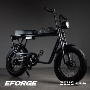 Electric Bicycle ZEUS Alpha/Alpha S