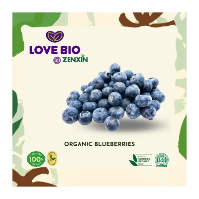 LOVE BIO Organic Blueberries