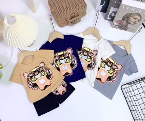 [MẪU HÈ] BỘ CỘC TAY IN HÌNH HỔ CHẤT COTTON MỀM MÁT PHONG CÁCH HÀN QUỐC SIÊU DỄ THƯƠNG CHO BÉ 8-24KG. VIDEO THẬT. BIBO BABY SHOP