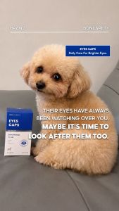 KOREA Dog Eye Caps Pet Supplements for Dogs with Excessive Tear Stains Cloudy Eyes & Blurry Vision Supports Overall Eye Health & Clear Vision 60 Capsules
