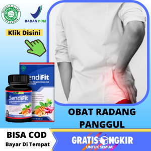 Obat Radang Panggul Radang Tulang Sendi Panggul Pria Wanita Penyakit Peradangan Sendi Pinggul Syaraf Kejepit Sakit Pinggang Dan Punggung - Sendifit 50 Kapsul