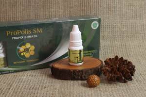 Obat Bintik Putih di Bibir Obat Penghilang Bintik Putih Di Bibir Obat Bibir Kering Obat Bibir Ada Bercak Putih Obat Pelembab Bibir Obat Bibir Berdarah Obat Bintik Putih / Hitam di Bibir Dengan Propolis SM Brazil 100% Original Alami