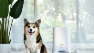 DOGNESS APP PET FEEDER - 6L for cats and dogs