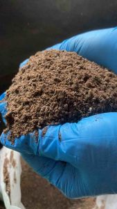 ปุ๋ย ขี้ค้างคาว มูลค้างคาว ปุ๋ยมูลค้างคาว ปุ๋ยธรรมชาติ น้ําหนัก 500 กรัม (น้ําหนักแห้ง)