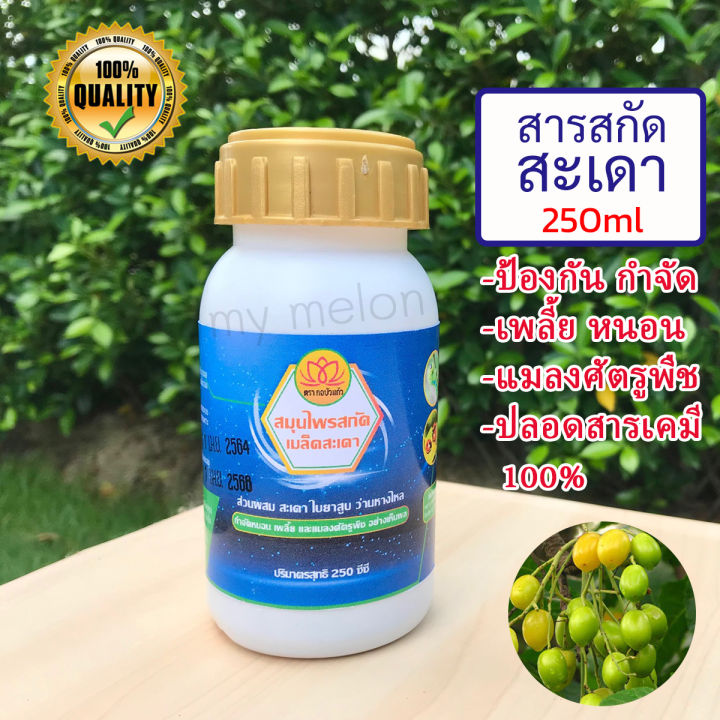 สารสกัดสะเดา 250ml ป้องกันกำจัดเพลี้ย หนอน ปลอดสารเคมี